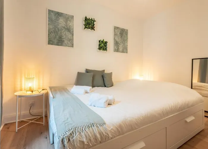 Merles 15 1er Etage Centre Stationnement Mulhouse